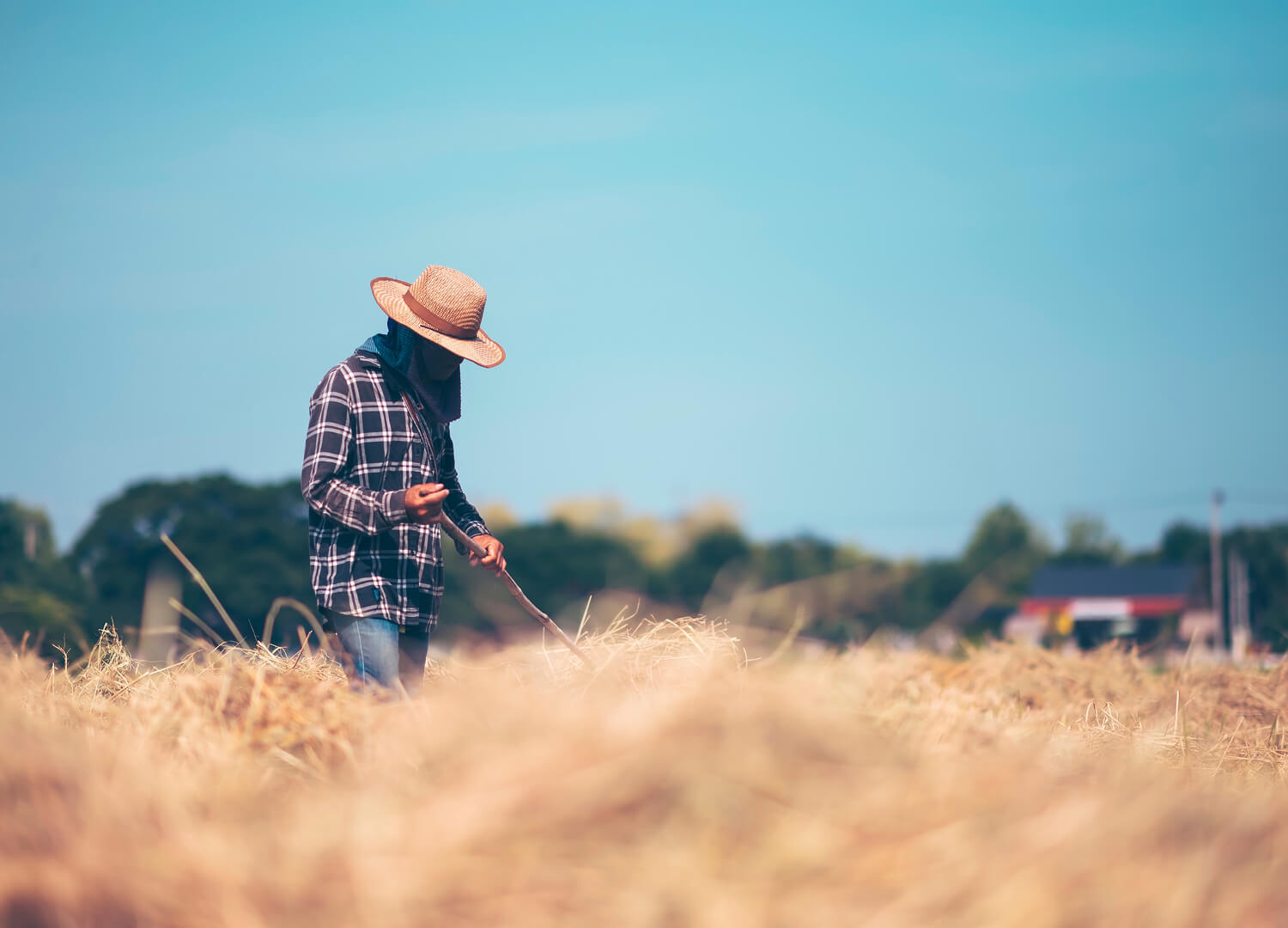 Agriculture & Farming